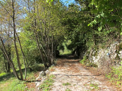 Il sentiero che sale dalle sponde del lago Morto verso Borgo Caloniche, una comoda sterrata.