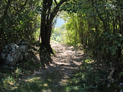 La fine del sentiero che porta a Borgo Caloniche di Sopra. L'ultimo albero sembra quasi chiudere la visuale per celare ancora un attimo la vista sul borgo.