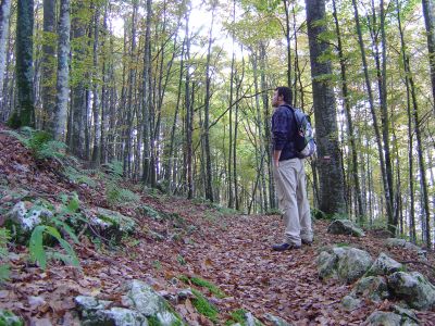 A volte 5 minuti di silenzio valgono molto più di 1000 discorsi. Nei boschi intorno a Malga Cercenedo.