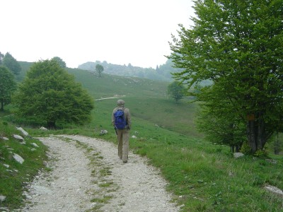 Si rientra accompagnati da una leggera pioggia. Siamo sulla cima del Pizzoc ma presto lungo l'altavia 6 ci addentreremo nella Foresta del Cansiglio.