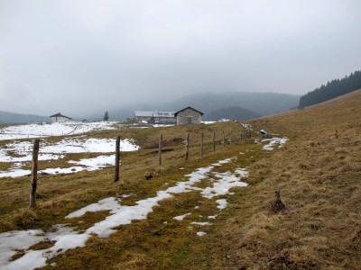 Ed eccoci alla nostra ultima pausa: l'agriturismo Malga Valmenera (aperto tutto l'anno - tel. 0437.432056).