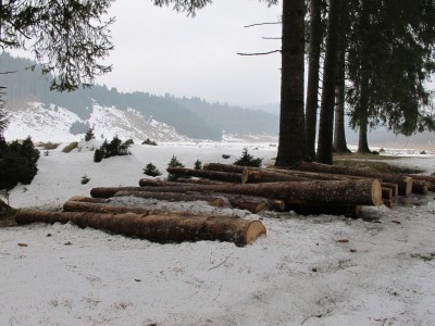 Ultimo sguardo verso la piana di Campedei, entrando nel bosco di Cornesega Bassa.