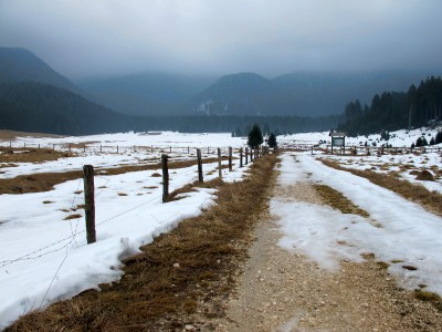 Un ultimo sguardo verso Piano di Valmenera. Qui lasciamo la strada e seguiamo il breve sentiero che porta all'agriturismo Malga Valmenera.