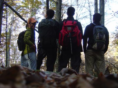 Partiti da poco, ma già caldi e decisi! Foresta del Cansiglio.