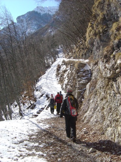 La prima parte del percorso si snoda su strada forestale con ottimo fondo.