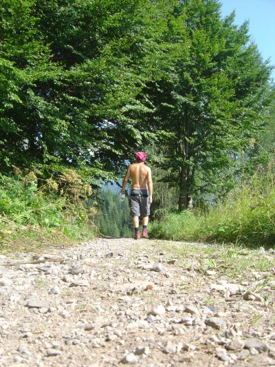 La zona piana dei Piani di Van: prati, strade sterrate e qualche pino... Bucolico!