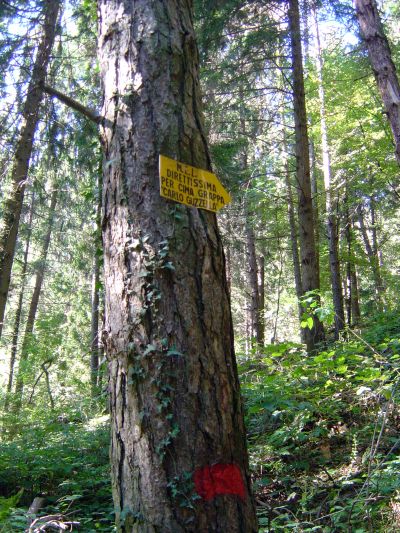 Ecco l'insegna che segnala l'inizio del sentiero nel bosco. Noi ce la siamo lasciata sfuggire. Una distrazione che ci è costata un'oretta buona di giri a vuoto.