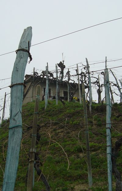 Casere e vigneti tra Follina e Combai, la zona del Prosecco.