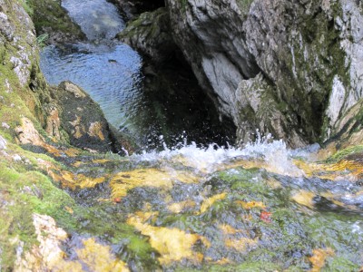 Una foto la merita pure il torrente che esce dal laghetto, gettandosi rapido fra una serie di piccoli salti tra i massi muschiosi.