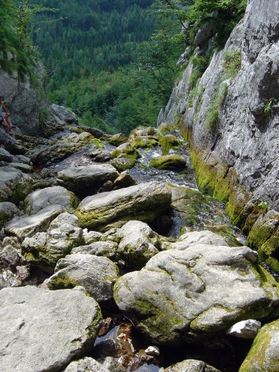 Ecco le prime traccie di Isonzo. Qui, a meno di dieci metri dalla grotta, le acque dell'Isonzo iniziano a vedere la luce. Da qui sara' un viaggio tutto in discesa... Si comincia!!!