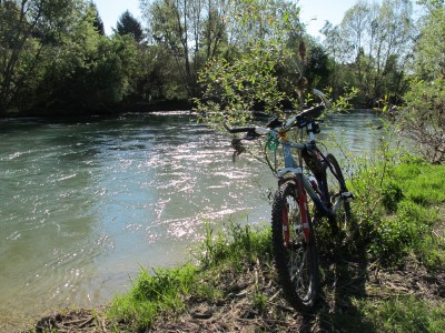 Le rive della Livenza, poco oltre la fine della parte sterrata con cui si chiude Via Argine ad Albina.