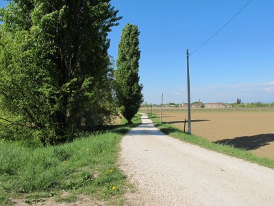 L'inizio di via Rio Cigana, presso l'argine della Livenza, con il suo bel filare di pioppi.