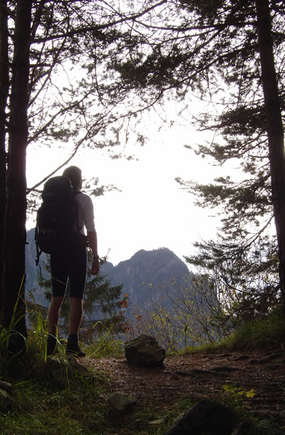 Escursione a Malga Alvis, nel Parco delle Dolomiti Bellunesi.