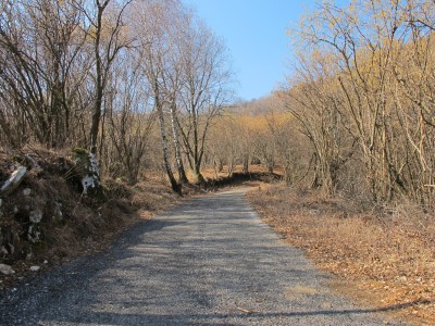 Uno scorcio lungo la strada che sale da Mezzomonte.