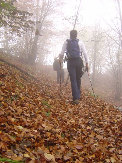 Siamo decisamente a fine Ottobre. Lo si legge fin troppo bene a terra ed in cielo.