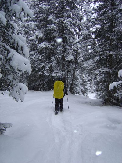 L'esperto traccia la via lungo la discesa verso Pala Favera. La neve fresca non sempre rende il tracciato facile da disegnare. In compenso prossiamo provare a far scivolare un po le ciaspole sulla neve fresca... un pizzico di divertimento in piu'!