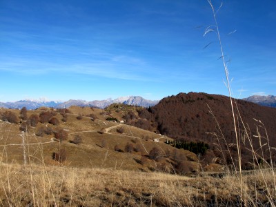 Dalla cima del monte Pizzoc possiamo già vedere il profilo che seguiremo e la collina boscosa dietro cui si nasconde casera Pian de la Pita.