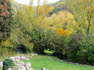 Il bosco ed i suoi colori, appena alle spalle di Case Sassi.