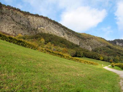 Sotto la lunga e verticale Costa di Serravalle, via Vinera si trasforma in via Sassi.