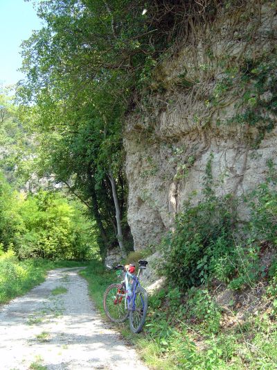 La roccia fasciata di rami e radici che per un breve tratto ingoia il canale di Soccher.