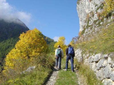 Potenti colori autunnali in zona Laste.