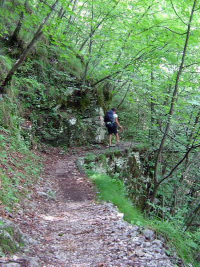 La prima parte del percorso diviene presto un buon sentiero lasciando piu' a valle le iniziali sembianze di sterrata.