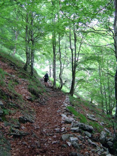 Abbandonato il letto del torrente Ardo, ci si avvicina al Rifugio Settimo Alpini salendo il famigerato Calvario. Nessuna salita estrema, ma la stanchezza accumulata e la fretta di arivare possono giocare brutti scherzi e lasciare senza fiato.