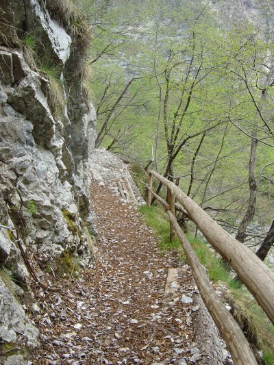 Ancora sul 520 in Val dei Ross.