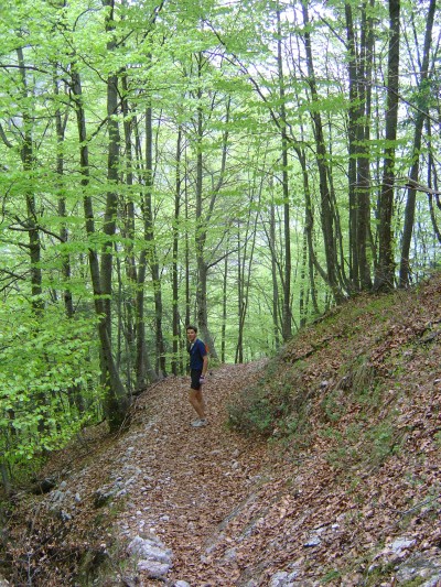 Sul sentiero 520 nella Val dei Ross.