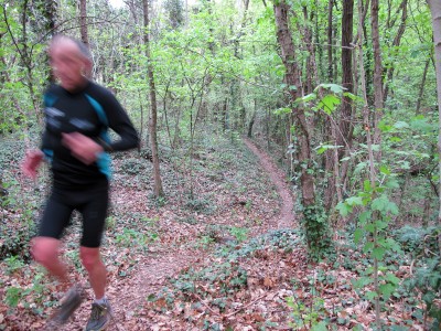 Trail del Patriarca, bosco privato