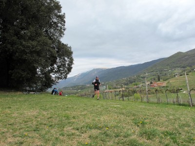 Trail del Patriarca, bosco dei lecci