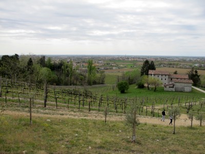 Trail del Patriarca, panorama