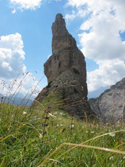 E questa è la classica immagine da Nord. Quei fili d'erba sono la tavola apparecchiata dove oggi pranziamo in totale relax.