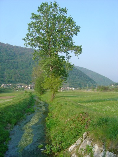 La Valsana e' ovviamente gia' bella di suo... Ma non va dimenticato che il fiume Soligo qui nasce e scorre, accompagnando il ciclista, e chi passeggia, con la sua dolce musica.