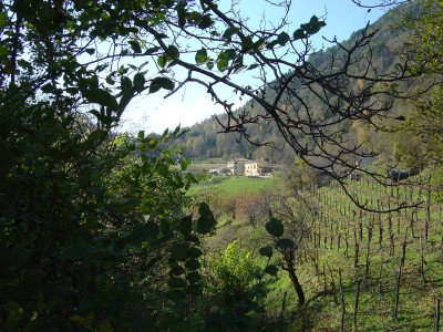 Vista sulle Perdonanze dalla zona di Sant Antonio. 