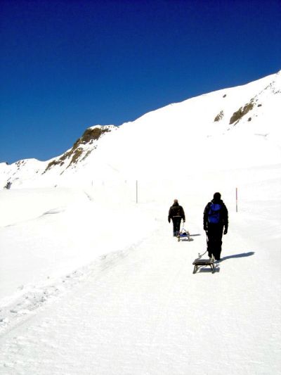 Dopo la discesa a Grindelwald, si sale sul versante opposto della valle (bus e cabinovia) e poi si procede a piedi verso il punto in cui la pista da slittino inizia a scendere.