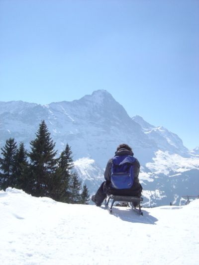 Pronti sullo slittino, si riparte dopo una breve pausa panoramica presso una baita... Grindelwald arriviamo!