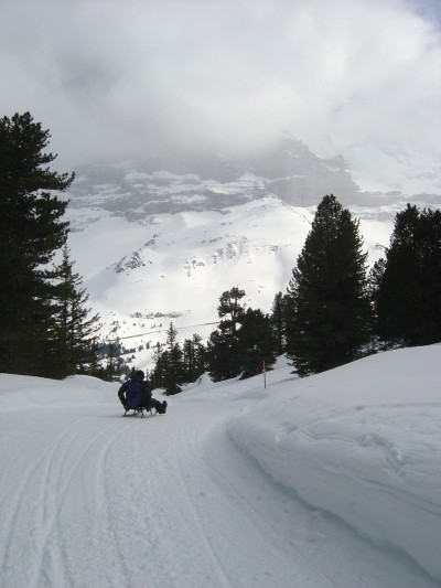 Ecco uno dei tanti tratti di pista per slittino. Qui ogni mattina il fondo di tutte le piste per slittino viene battuto e preparato con il gatto delle nevi.