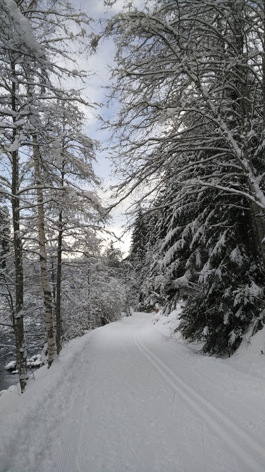 Le piste da sci da fondo che affiancano il torrente presso Hopfgarten. Ben battute ed aperte anche a chi vuol passeggiare lungo la Defereggental.