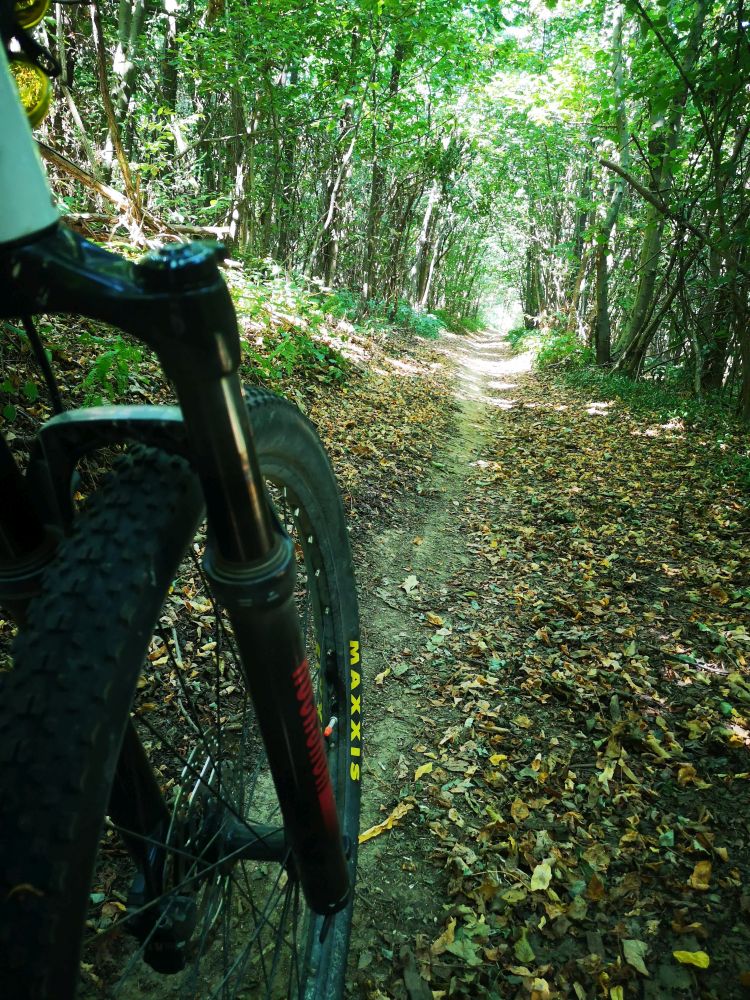 Single track tra via Lollini e la zona denominata Pontello Track. Come questo, in Montello si trovano vari single track più o meno aperti al pubblico.