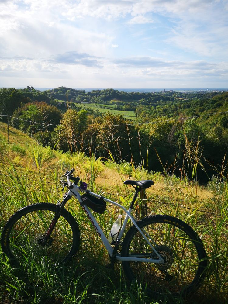 Panorama verso il Castello San Salvatore da via Morgante Seconda a Susegana.