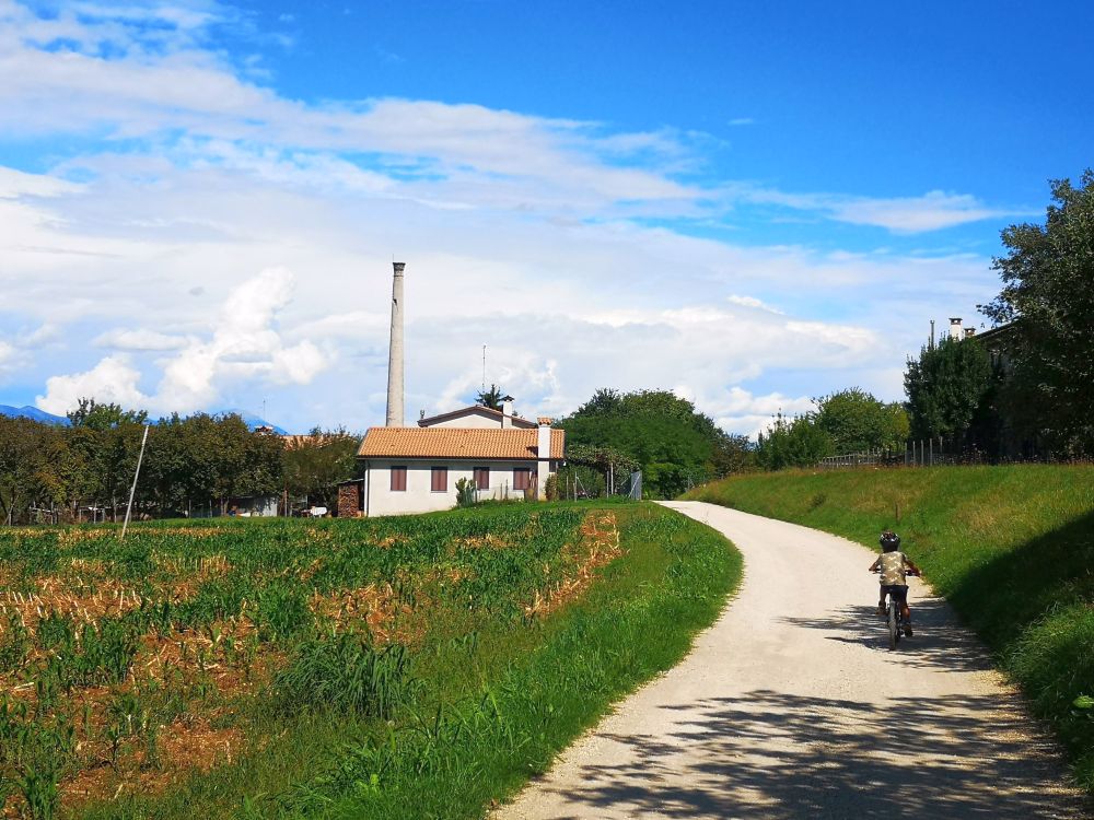 Ed eccoci nella parte dello Stradone del Bosco dove i paesi sono lontani ed i prati consentono di osservare il paesaggio fino ad una certa distanza, prima di entrare nella parte più boschiva.