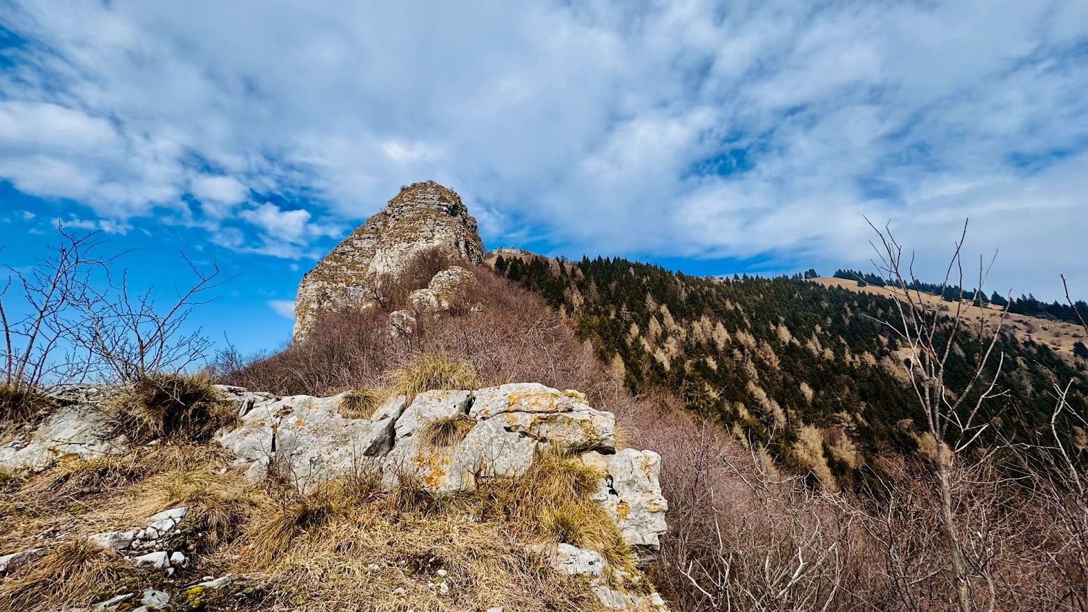 La Pèra maestosa